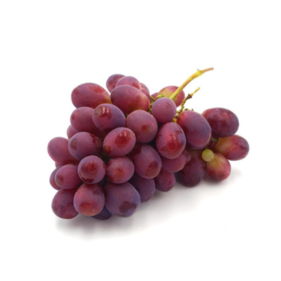 Produktfoto zu Trauben blau_ rot