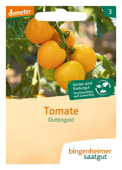 Produktfoto zu Saat: Tomate gelb "Duttingold"