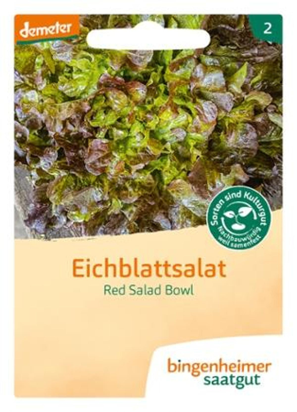 Produktfoto zu Saat: Eichblatt: "Red Salad"