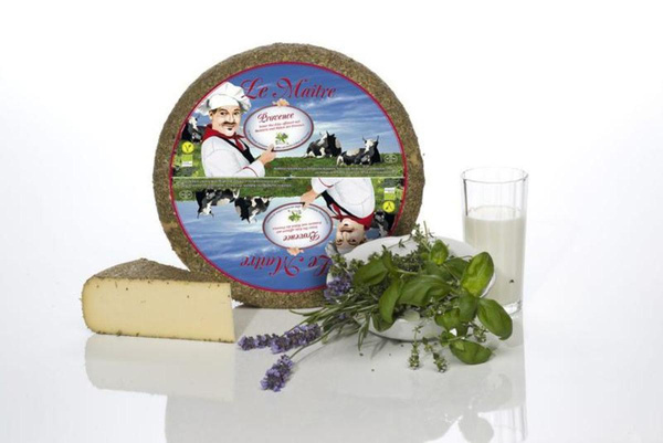 Produktfoto zu Stück Le Maitre 'Provence'