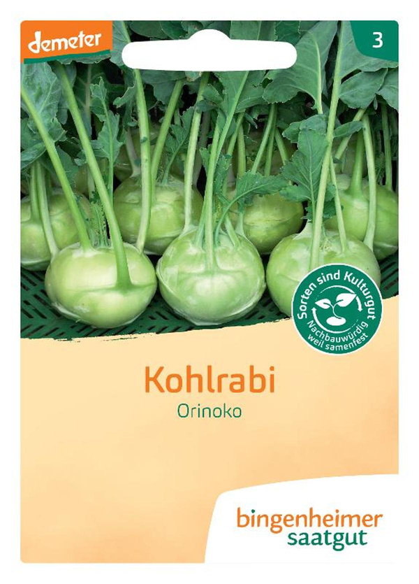 Produktfoto zu Saat: Kohlrabi "Orinoko"