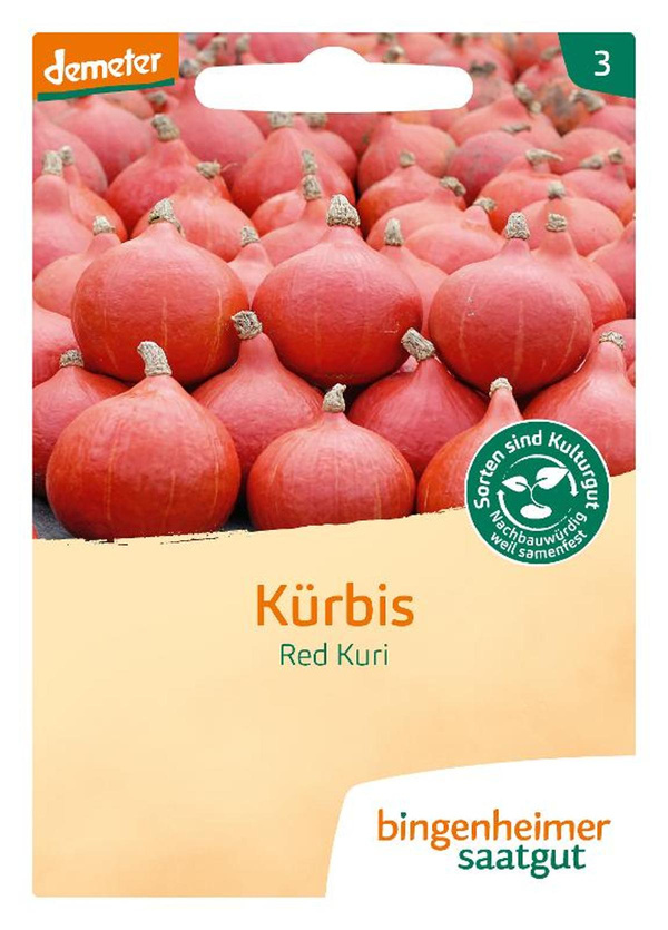 Produktfoto zu Saat: Kürbis "Red Kuri"