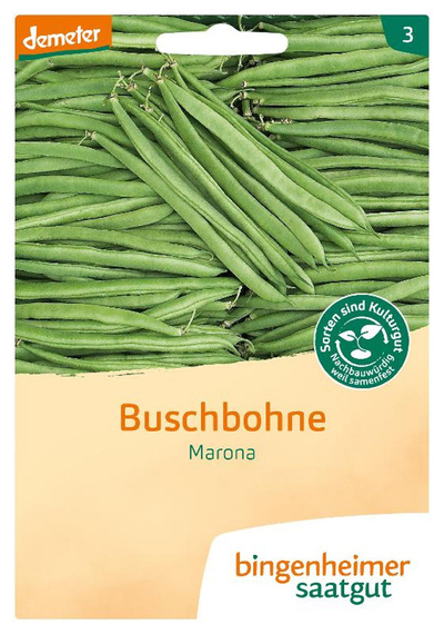 Produktfoto zu Saat: Buschbohne "Marona"