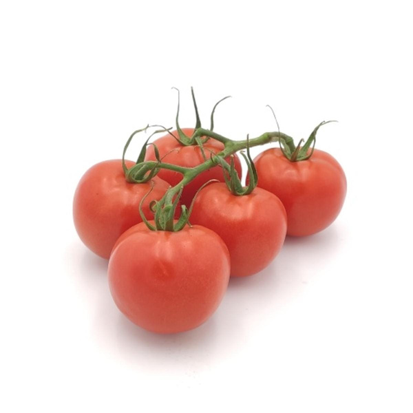 Produktfoto zu (Strauch)tomaten