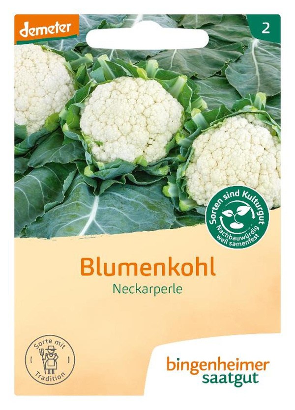 Produktfoto zu Saat: Blumenkohl "Neckarperle"