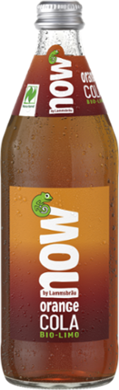 Produktfoto zu now Orange Cola 0,5L