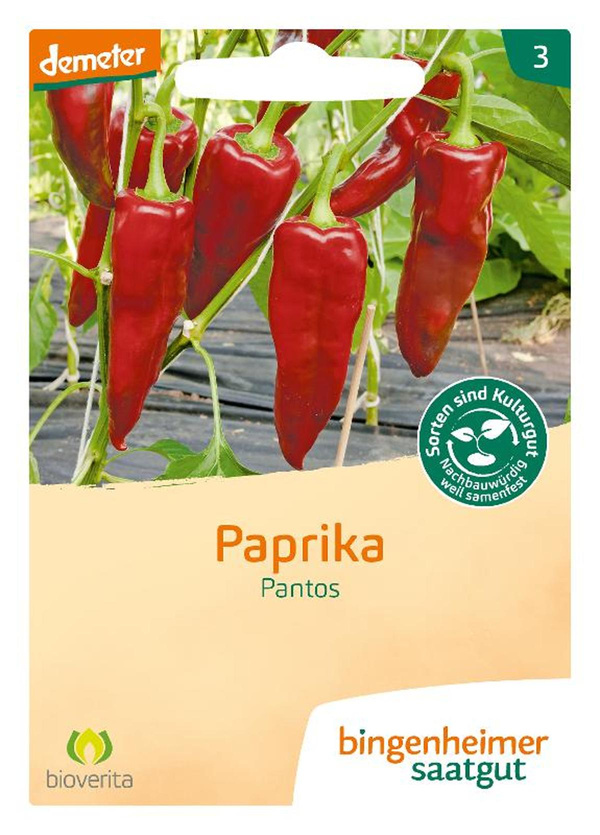 Produktfoto zu Saat: Paprika "Pantos"