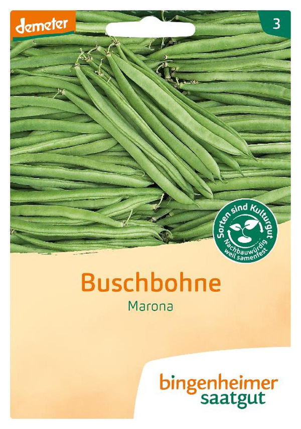 Produktfoto zu Saat: Buschbohne "Marona"