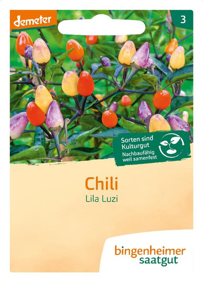 Produktfoto zu Saat: Chili "Lila Luzi"