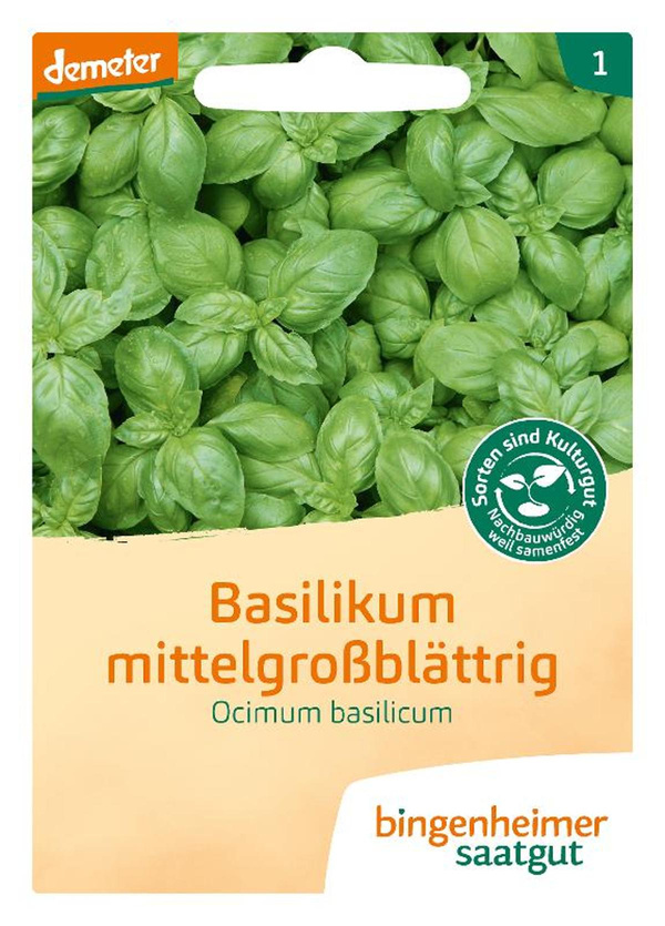 Produktfoto zu Saat: Basilikum mittelgroßblät