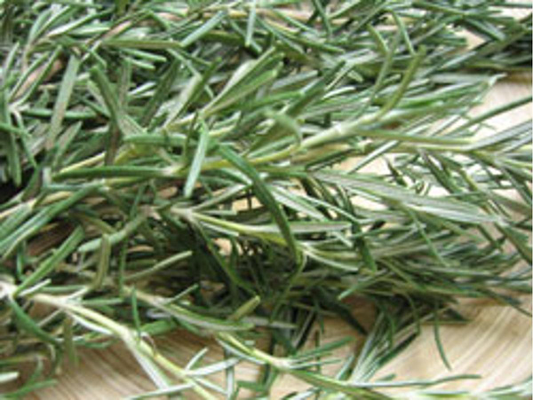 Produktfoto zu Rosmarin, Bund