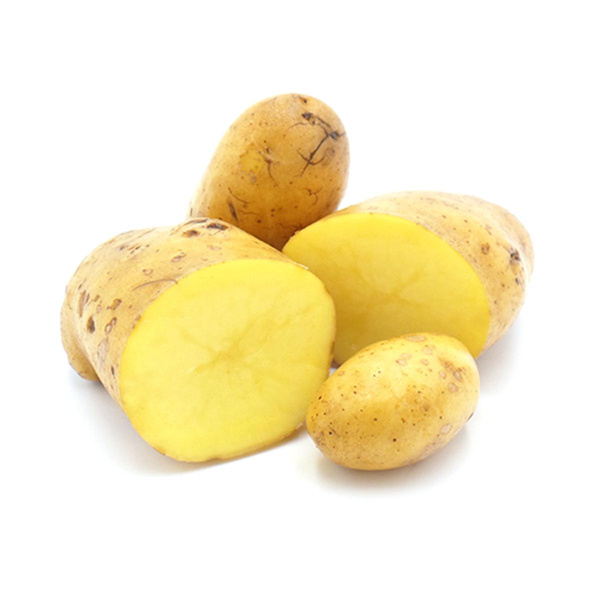 Produktfoto zu Kartoffel, vorw.festkoch.