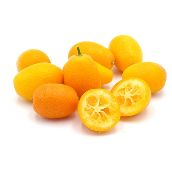 Produktfoto zu Kumquat (Zwergorange)