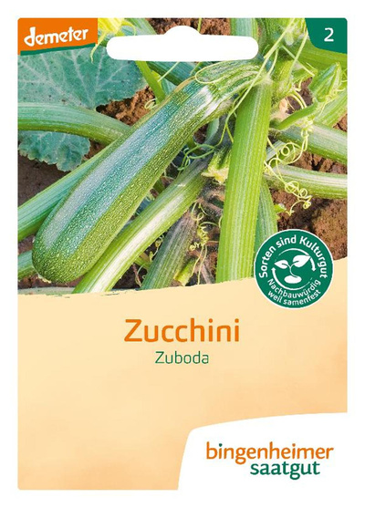 Produktfoto zu Saat: Zucchini " Zuboda"