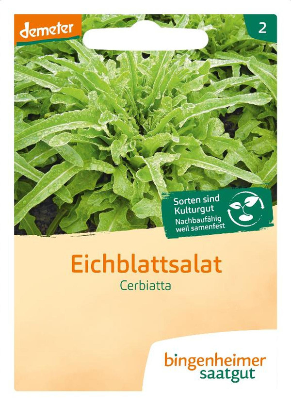 Produktfoto zu Saat: Eichblatt  "Cerbiatta"