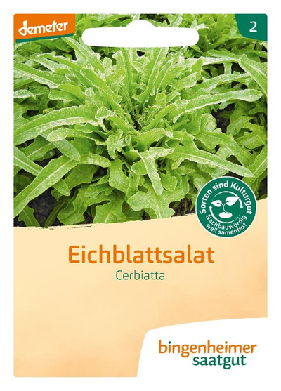 Produktfoto zu Saat: Eichblatt  "Cerbiatta"