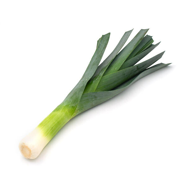 Produktfoto zu Porree_ Lauch