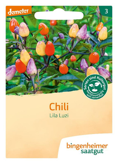 Produktfoto zu Saat: Chili "Lila Luzi"