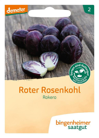 Produktfoto zu Saat: Roter Rosenkohl