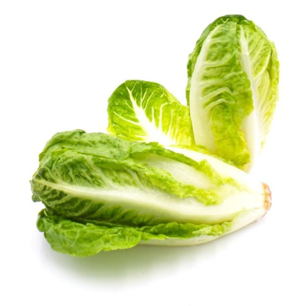 Produktfoto zu Salat Mini-Romana