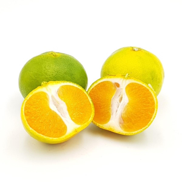 Produktfoto zu Mandarine_ Satsuma