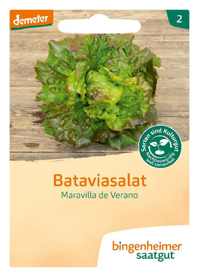Produktfoto zu Saat: Bataviasalat " Maravilla