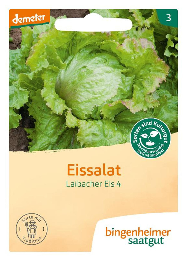 Produktfoto zu Saat: Eissalat "Laibacher Eis"