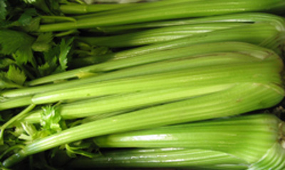 Produktfoto zu Stangensellerie