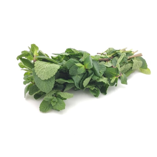 Produktfoto zu Pfefferminze, Bund
