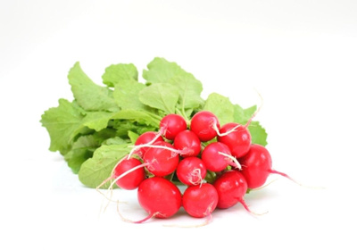 Produktfoto zu Radieschen, Bund