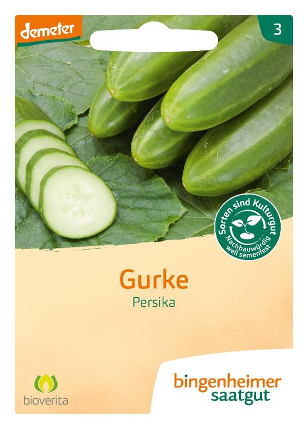 Produktfoto zu Saat: Freilandgurke "Persika"
