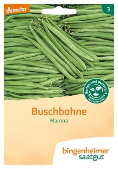 Produktfoto zu Saat: Buschbohne "Marona"
