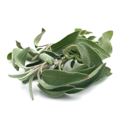 Produktfoto zu Salbei, Bund