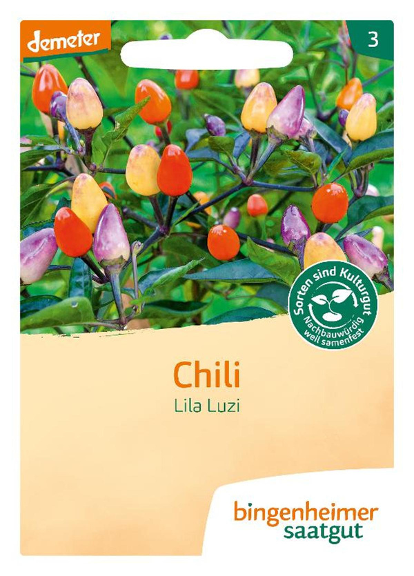 Produktfoto zu Saat: Chili "Lila Luzi"