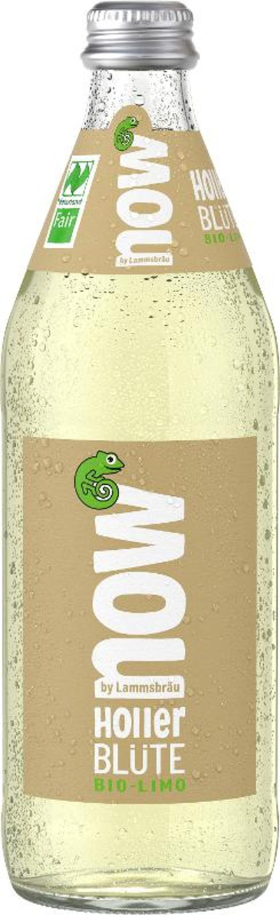 Produktfoto zu now Holler Blüte 0,5Ltr