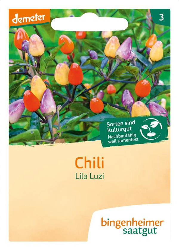 Produktfoto zu Saat: Chili "Lila Luzi"