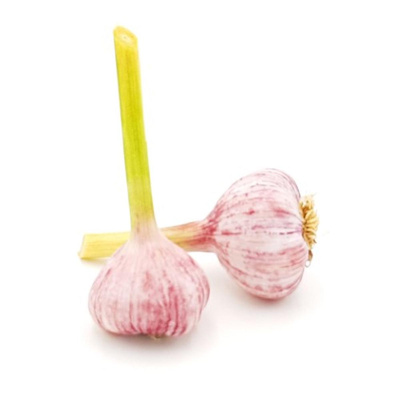 Produktfoto zu Knoblauch (frisch)