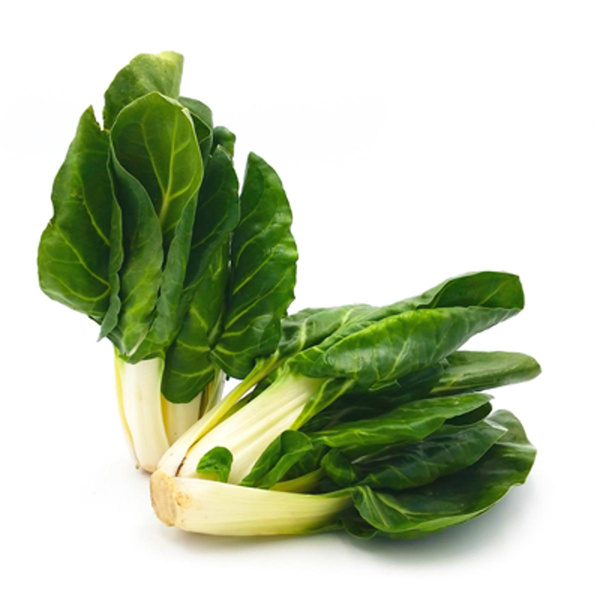 Produktfoto zu Mangold, grün_ bunt