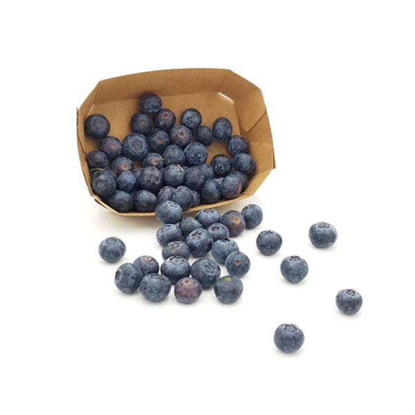 Produktfoto zu Heidelbeeren, 250g Schale