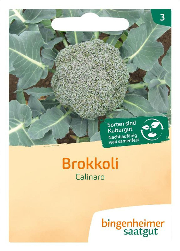 Produktfoto zu Saat: Brokkoli "Calinaro"