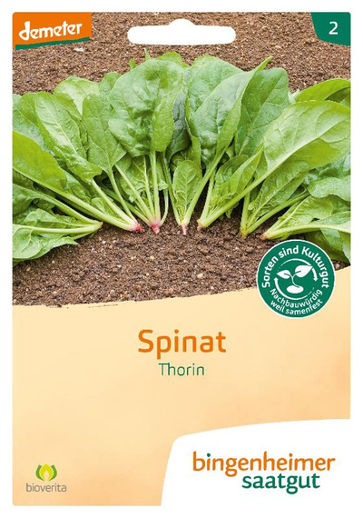 Produktfoto zu Saat: Spinat "Thorin"