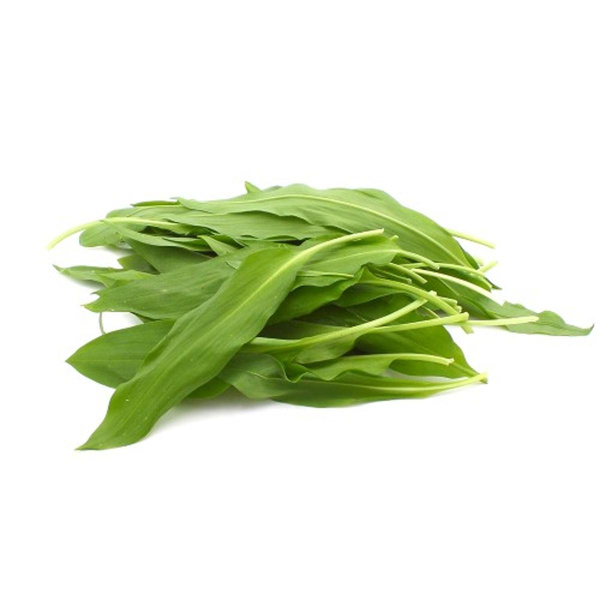 Produktfoto zu Bärlauch, Bund