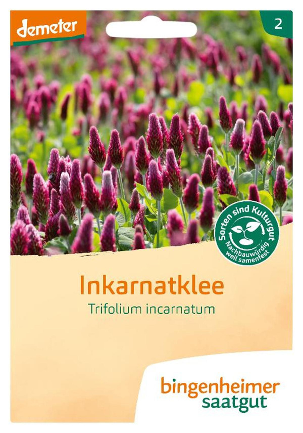 Produktfoto zu Saat: "Inkarnatklee"