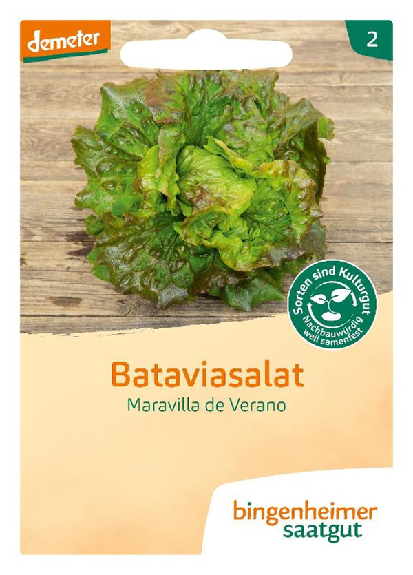 Produktfoto zu Saat: Bataviasalat " Maravilla