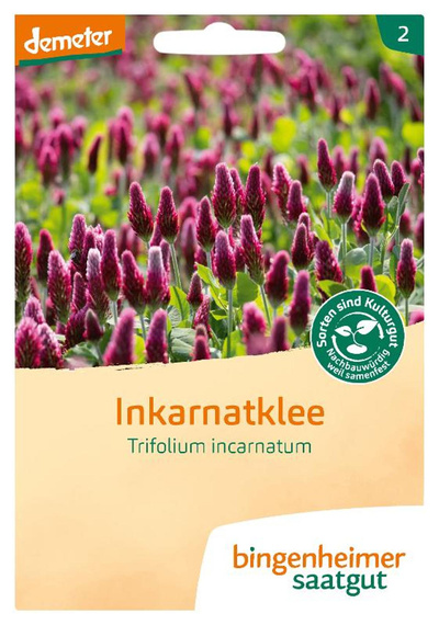 Produktfoto zu Saat: "Inkarnatklee"