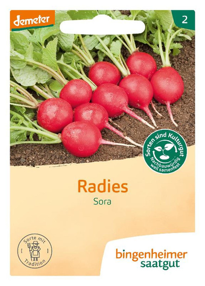 Produktfoto zu Saat: Radies "Sora"