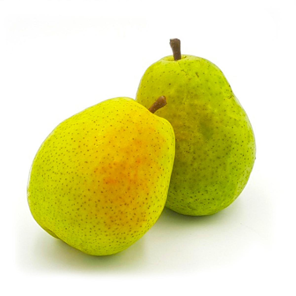 Produktfoto zu Birne, Alexander Lucas_ XENIA