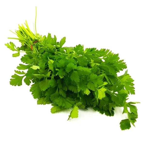 Produktfoto zu Koriander, Bund