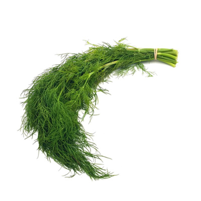 Produktfoto zu Dill, Bund